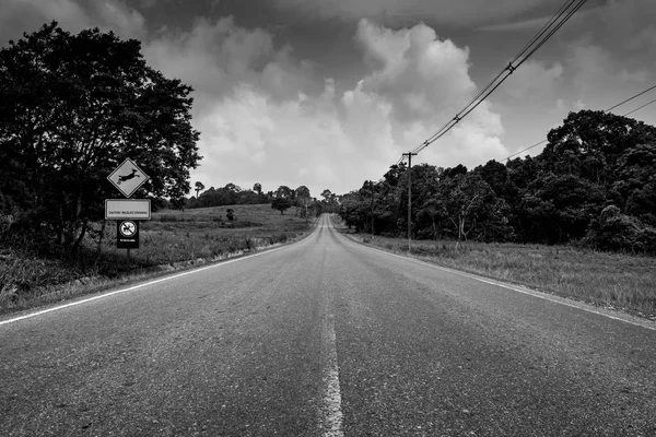 Endless straight road running through the forest with scenery of grass field and trees with cumulus clouds and sky in black and white scene. Death background — Stock Photo, Image