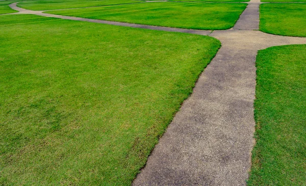 Campo de grama verde com fundo de textura de padrão de linha e passarela — Fotografia de Stock
