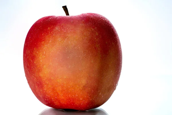 Uma maçã vermelha com gotas de água na pele isolada no fundo branco com espaço de cópia. Frutas saudáveis e conceito de alimentação saudável. Comida Vegan . — Fotografia de Stock