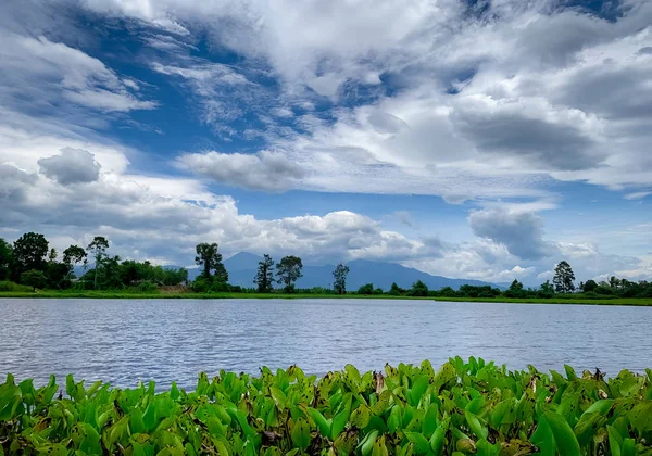 Vacker landskapsutsikt över sjön framför berget med blå himmel och vita cumulus moln. Grönt träd och gräsfält runt dammen. Tropiskt väder på sommaren. Naturlandskap. Frisk luft. — Stockfoto