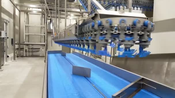 Maquinaria Preajuste Industria Procesamiento Aves Línea Producción Carne Pollo Planta — Vídeos de Stock