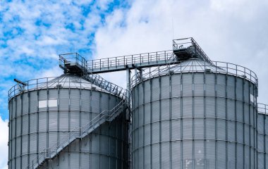 Yem fabrikasındaki tarımsal silo. Yem imalatında tahıl depolamak için büyük bir tank. Hayvan yemi üretimi için tohum deposu kulesi. Çiftlik hayvanları, domuz ve balık endüstrileri için ticari yem. 