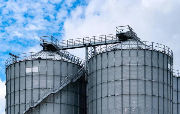 Silo agrícola en fábrica de molinos de piensos. Tanque grande para almacenar grano en la fabricación de piensos. Torre del caldo de semillas para la producción de piensos. Piensos comerciales para la industria ganadera, porcina y pesquera. — Foto de Stock