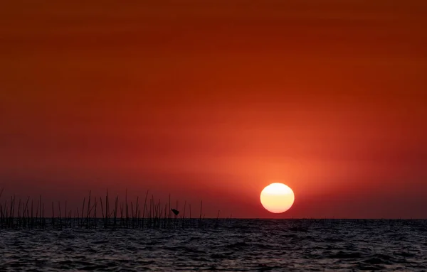 Большое Солнце Над Морем Закате Закатное Небо Горизонт Красное Романтическое — стоковое фото