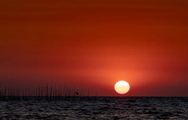 Grande Sol Sobre Mar Pôr Sol Belo Céu Pôr Sol — Fotografia de Stock