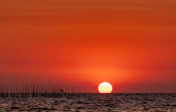 Grande Sol Sobre Mar Pôr Sol Belo Céu Pôr Sol — Fotografia de Stock