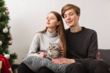 Genç çift ile evde yastık ve Noel ağacının yanında güzel kedi kanepede oturan portresi