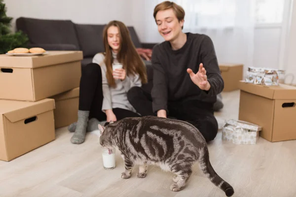 Portré, szép fiatal pár ül a padló, otthon, és boldogan nézett macska a tej közelében — Stock Fotó