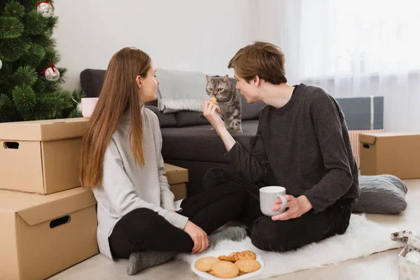 Portré, fiatal, szép pár ül otthon a padlón a cookie-kat, és látszó-on macska közelében — Stock Fotó