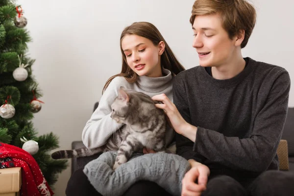 Porträt eines schönen jungen Paares, das zu Hause auf dem Sofa sitzt, mit Katze in der Hand und Weihnachtsbaum in der Nähe — Stockfoto