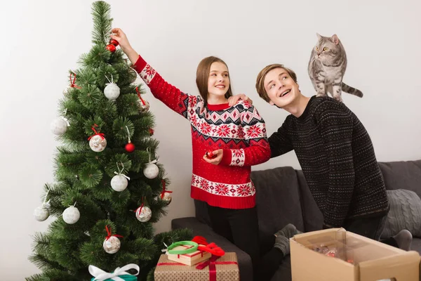 Porträt eines jungen schönen Paares, das glücklich auf die Katze schaut, während es zu Hause steht und gemeinsam den Weihnachtsbaum schmückt — Stockfoto