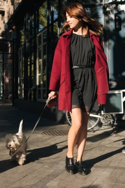 Siyah elbise ve ceket ile onun küçük sevimli köpek caddenin üzerinde yürüyen genç güzel Bayan portresi