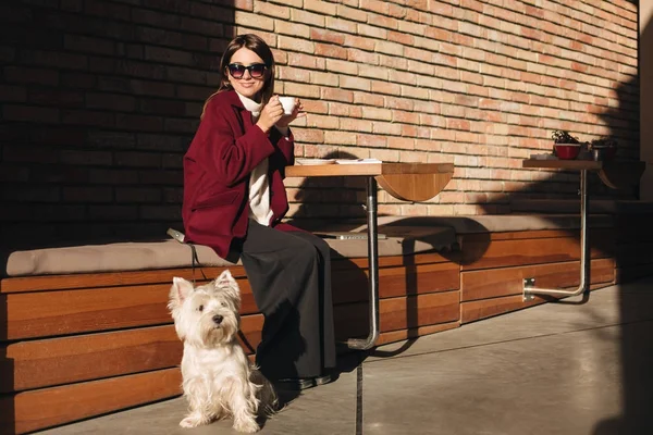 Porträtt av vackra leende dam solglasögon håller kopp kaffe i handen medan du sitter vid bordet i café på gatan med sin lilla söta hund — Stockfoto