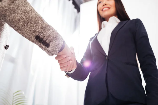 Portrait Business Handshake Office Isolated Stock Picture