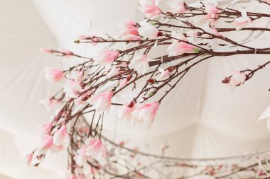 Tavanda asılı orijinal düğün çiçek dekorasyon güzel fotoğraf 