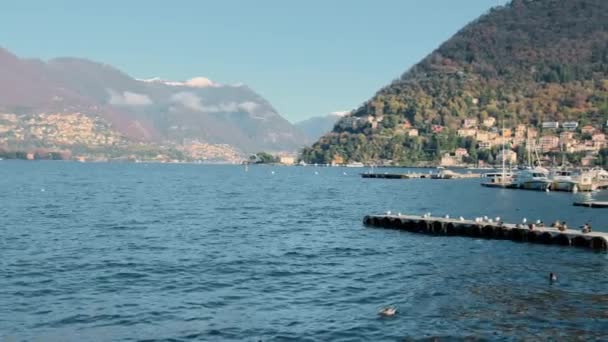 Aufnahme Der Atemberaubenden Bergsee Landschaft Der Stadt Und Der Seebrücke — Stockvideo