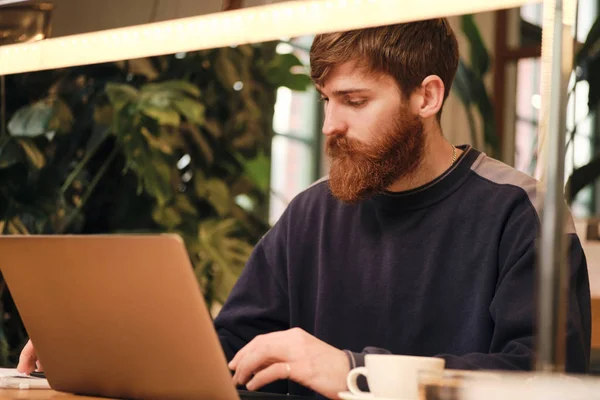 Joven hombre barbudo atractivo con confianza trabajando en el ordenador portátil durante el descanso de café en la cafetería — Foto de Stock