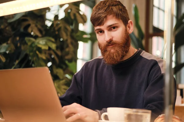 Joven hombre barbudo guapo mirando atentamente en la cámara de trabajo en el ordenador portátil en la cafetería — Foto de Stock