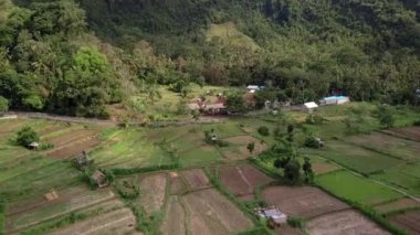 Yeşil tropikal ada görüntüsü alıyoruz. Geleneksel bali köyünün hava manzarası