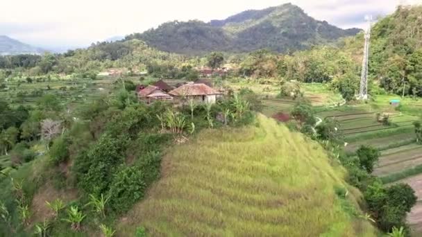 Tracking Aerial Shot Beautiful Village Traditional Balinese Houses Hill — Stock Video