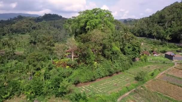 Vista Aérea Isla Paradisíaca Tropical Tracking Shot Pueblo Tradicional Bali — Vídeo de stock