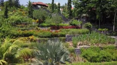 Bali 'deki güzel tropikal parkın izini sürüyorum. Asya tapınağında yüksek merdivenler.