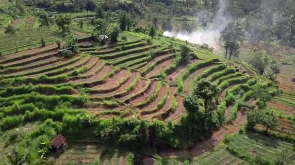 Aerial View Beautiful Green Tropical Island Rice Terraces Tracking Shot — Stock Video