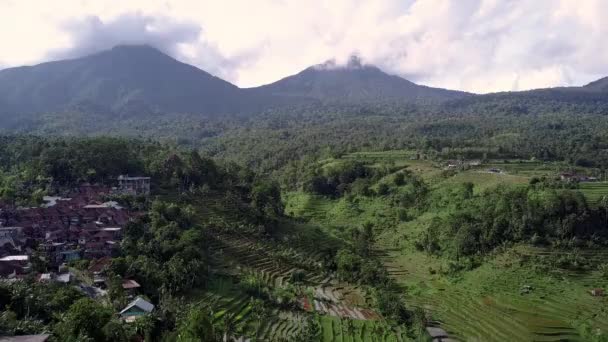 Luchtfoto Van Tropisch Eiland Bovenaanzicht Van Rijstterrassen Vulkanen Bali — Stockvideo