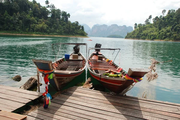Uzun kuyruklu tekneler