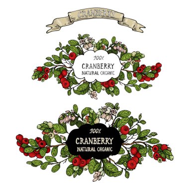 Tasarımınız için vintage etiketli vektör bitki bileşimi