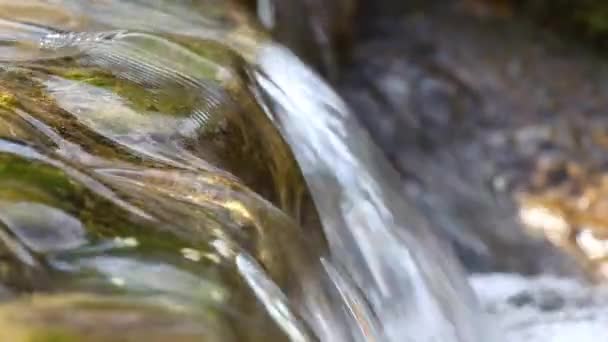 Pequeña cascada y agua clara — Vídeo de stock