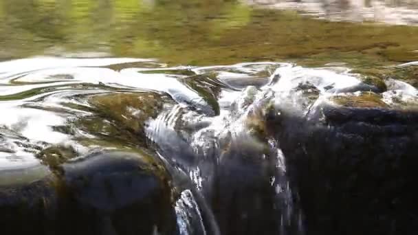Невеликий водоспад і чиста вода — стокове відео