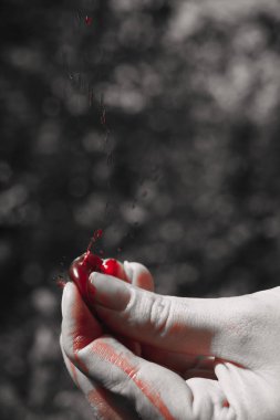 kiraz elinde bir sprey