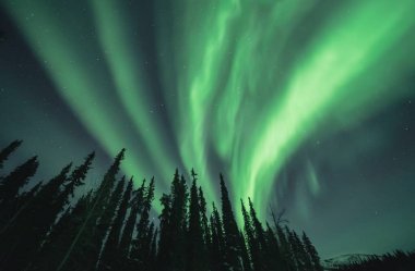  Alaska Kuzey ışıkları