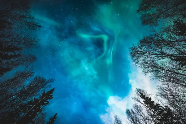 Luces del Norte en Alaska — Foto de Stock