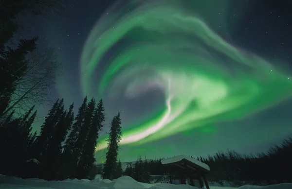 Aurores boréales en Alaska — Photo