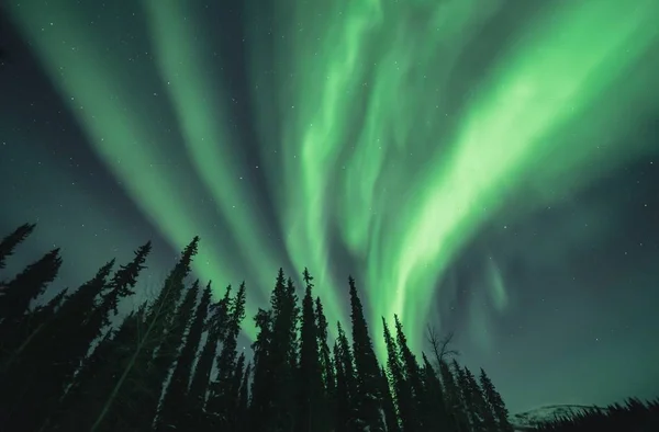 Luces del Norte en Alaska — Foto de Stock