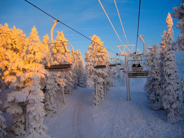 스키 리프트, 눈 덮인 숲 — 스톡 사진