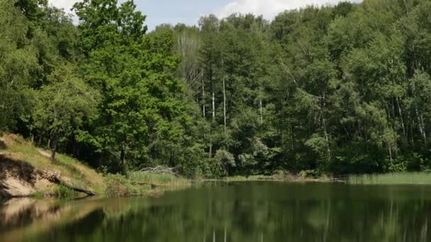 forêt sur la rive du lac 