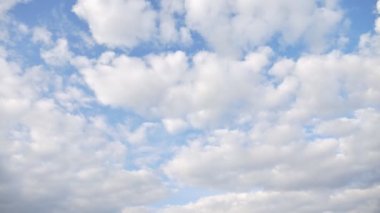 gökyüzü ve sonbahar ormanda