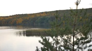 Sonbaharda orman nehri