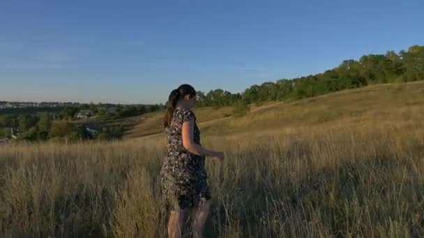 Pregnant woman in field at sunset — Stock Video