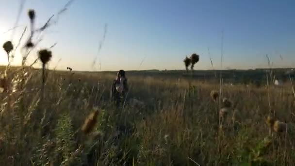 Беременная женщина в поле на закате — стоковое видео