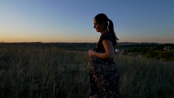 Pregnant woman in field at sunset — Stock Video