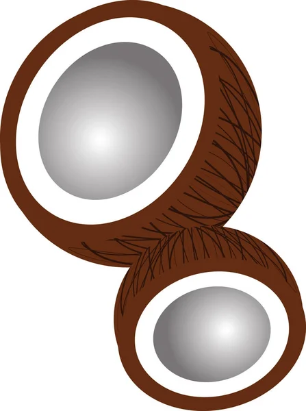 Kreslený kokosové skořápky, izolované — Stockový vektor