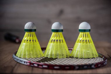 Sarı topları ile Badminton Raket