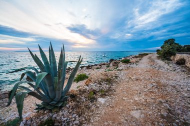Hırvat taşlı plajında gün batımı