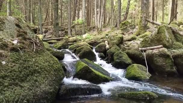 Kleine Wasserfälle Frühling Tschechien Wasserfälle Von Wolfgang — Stockvideo