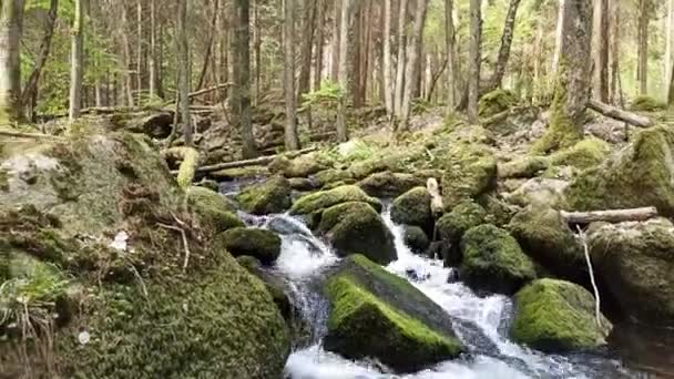 Małe Wodospady Wiosną Czechy Wodospady Wolfganga — Wideo stockowe