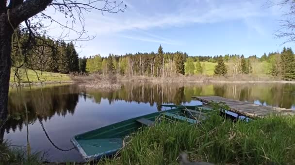 Kis Vízesések Tavasszal Csehország Szent Wolfgang Vízesései — Stock videók